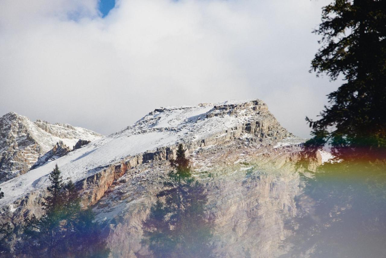 Rifugio Malga Ra Stua *