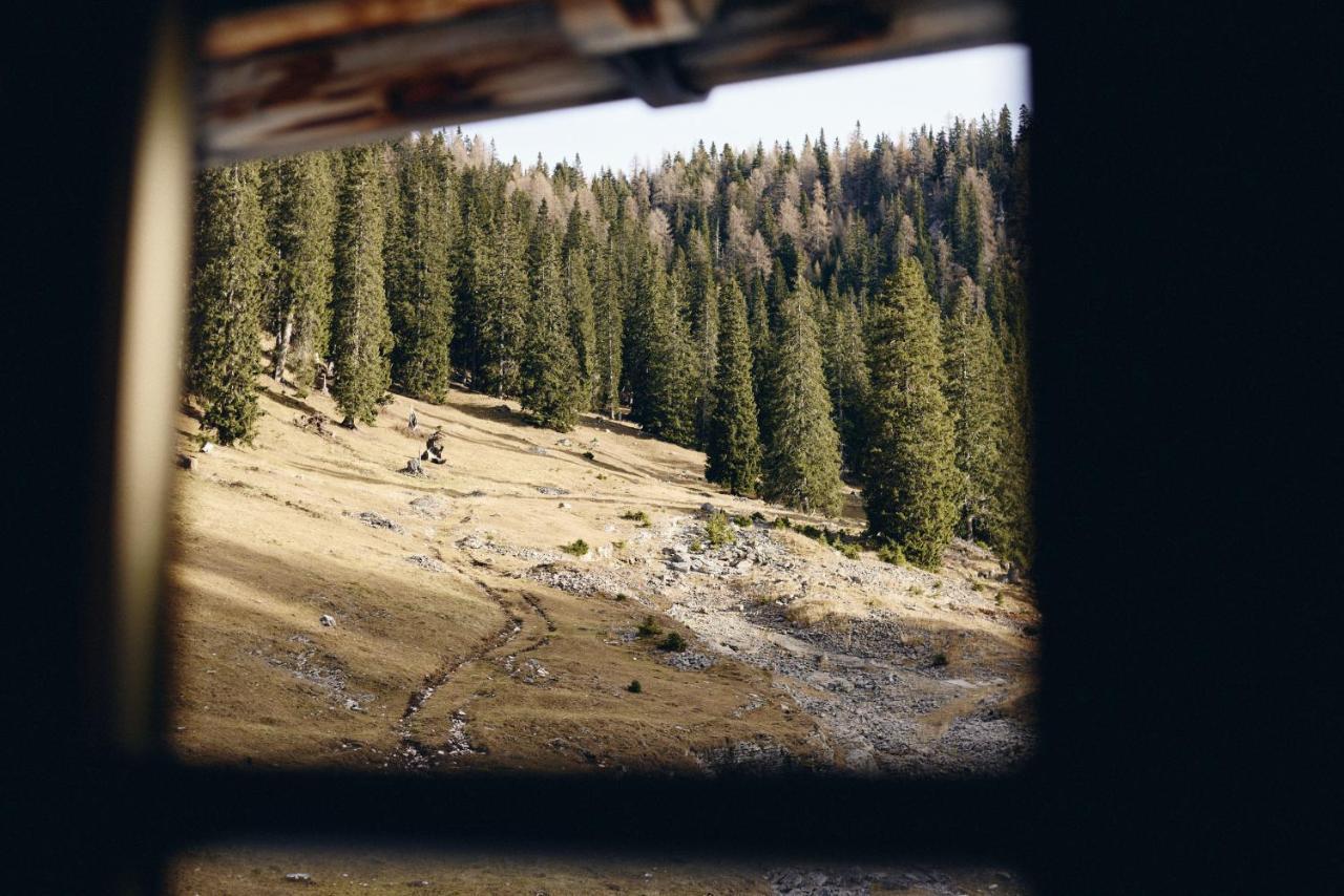 Rifugio Malga Ra Stua Lodge *