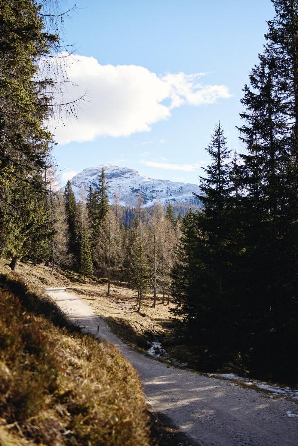 Rifugio Malga Ra Stua Cortina d'Ampezzo
