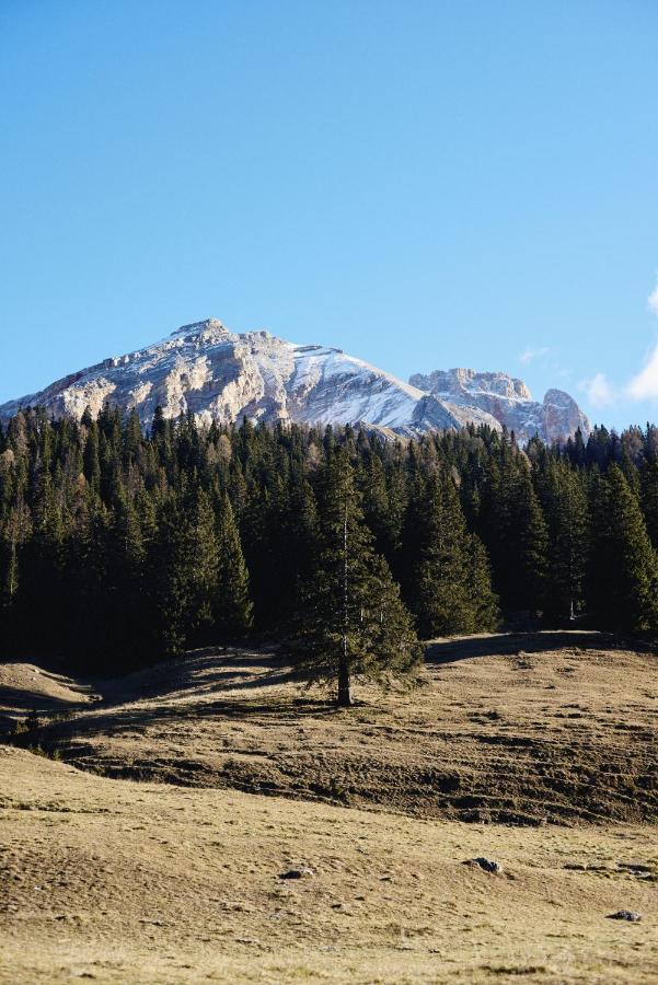 Rifugio Malga Ra Stua * Cortina d'Ampezzo