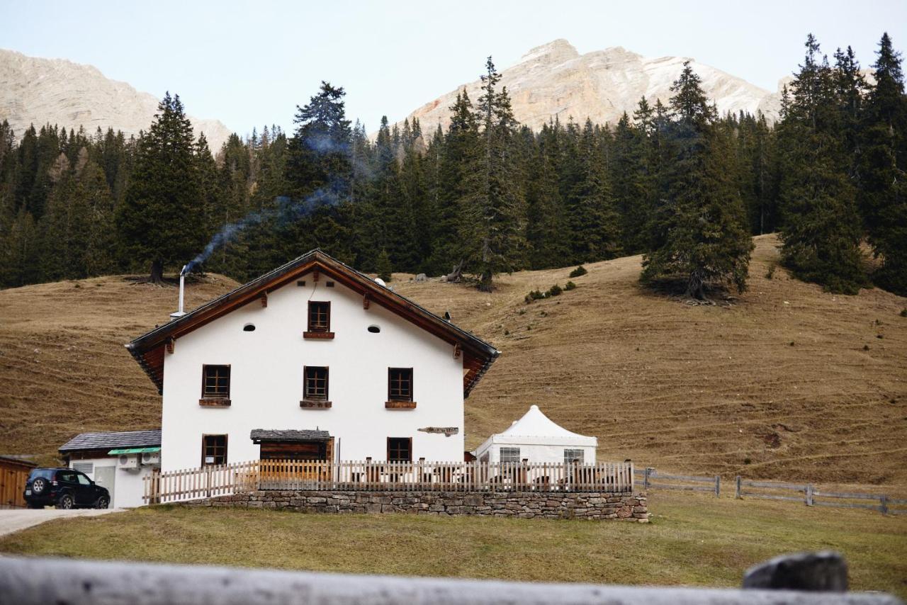 Rifugio Malga Ra Stua Cortina d'Ampezzo